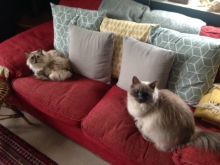 a786c759-f3a7-42a0-aadc-bb04a31aa5e0